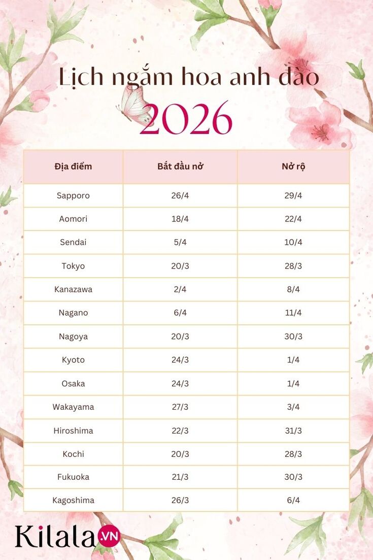 le-hoi-anh-dao-hanami-13 (1).jpg